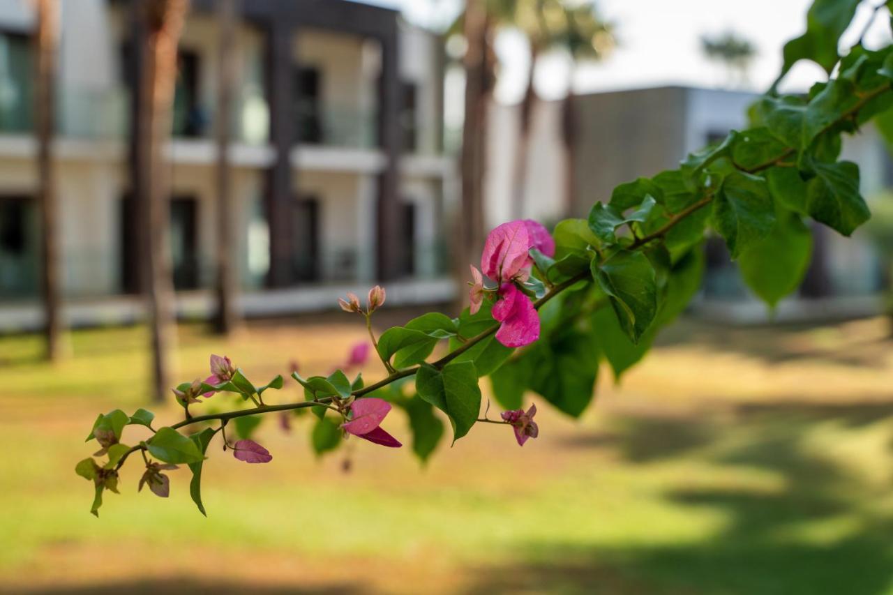 Hillstone Hotel&spa Hotel 5*